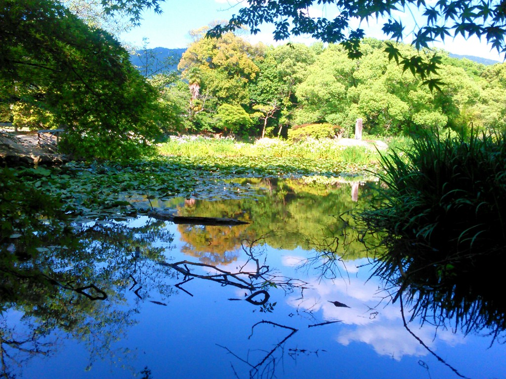 氷室の池　(勧修寺氷池園)