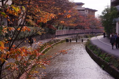 秋の白川
