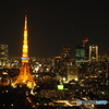 東京タワー 夜景#1