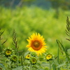 DSCF0057