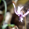 DSCF0010
