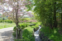 遊歩道１