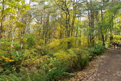 IMGP3185