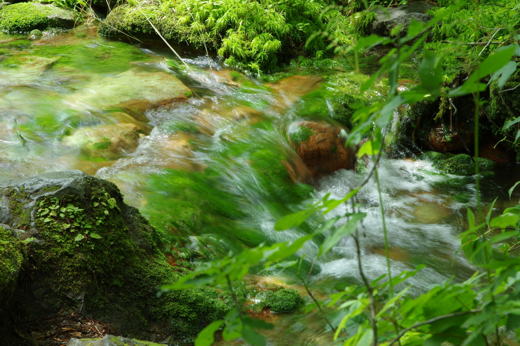裏磐梯の風景その２