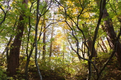 IMGP3077