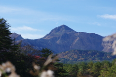 IMGP3061