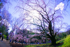 DSC05688