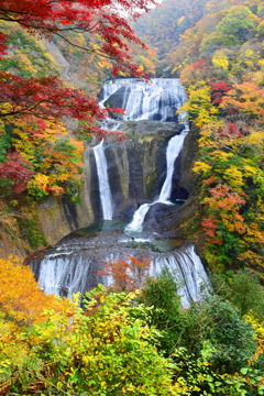 秋の袋田の滝