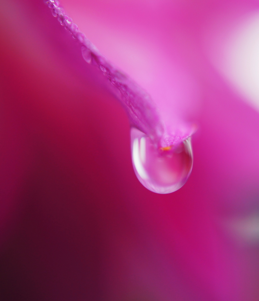 水滴