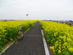 サイクリングで３