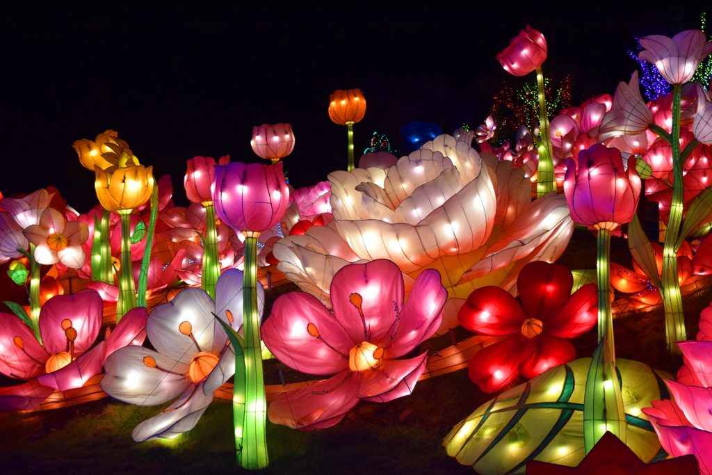 イルミネーション