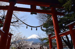 新倉山浅間神社の鳥居と富士