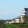 富士と城
