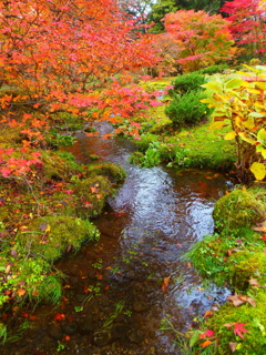 水路の秋