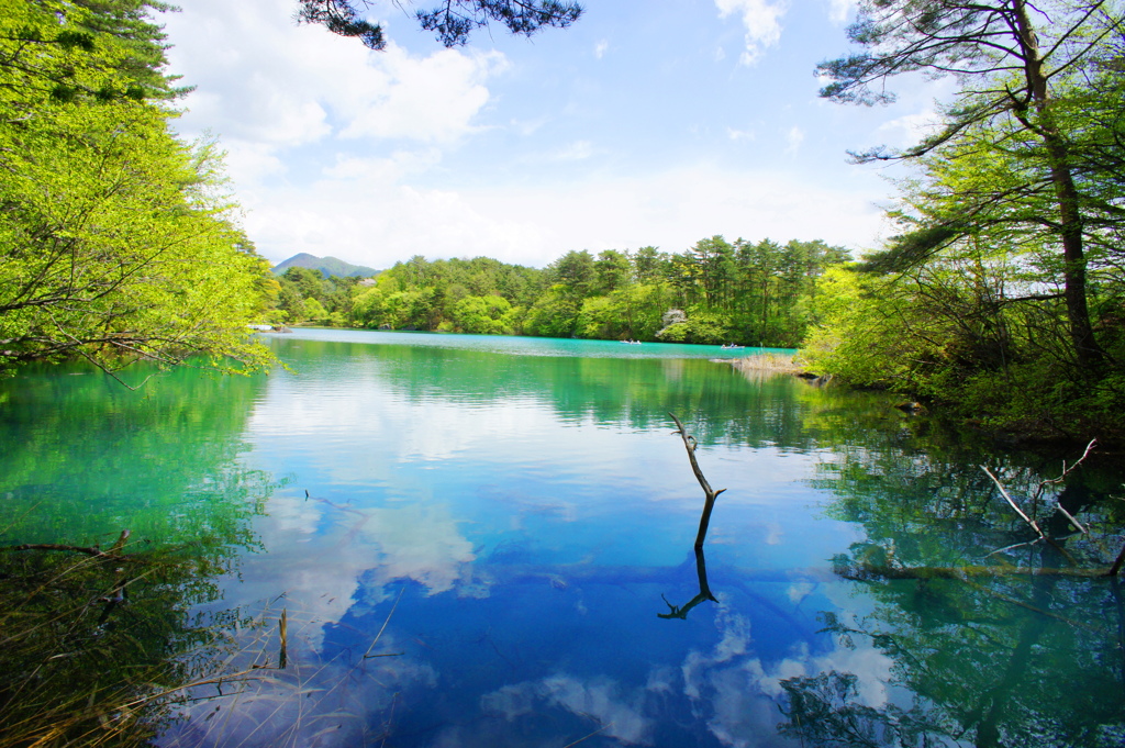 ここだけで五色沼