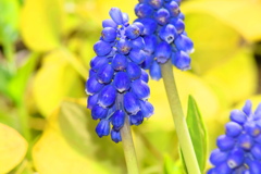 春４