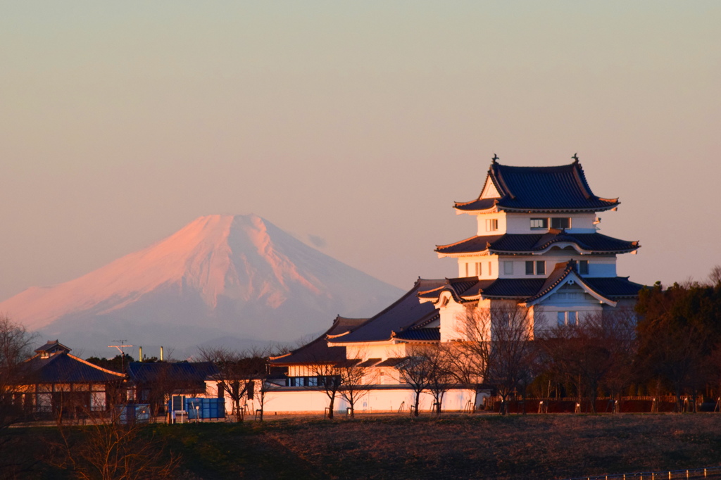 今日の富士山