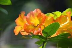 春１０