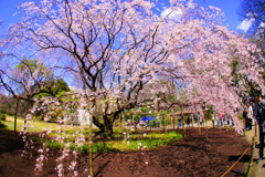DSC05701