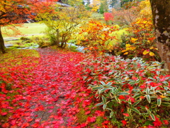 秋色の庭