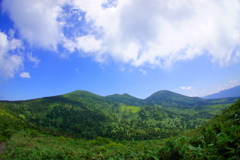 夏の山