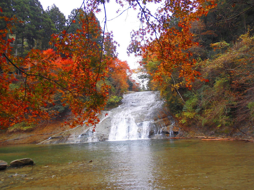 もみじの中の粟又の滝