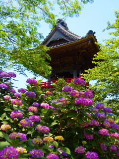 お寺のポスターにどうぞ