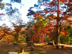 修禅寺もみじ林