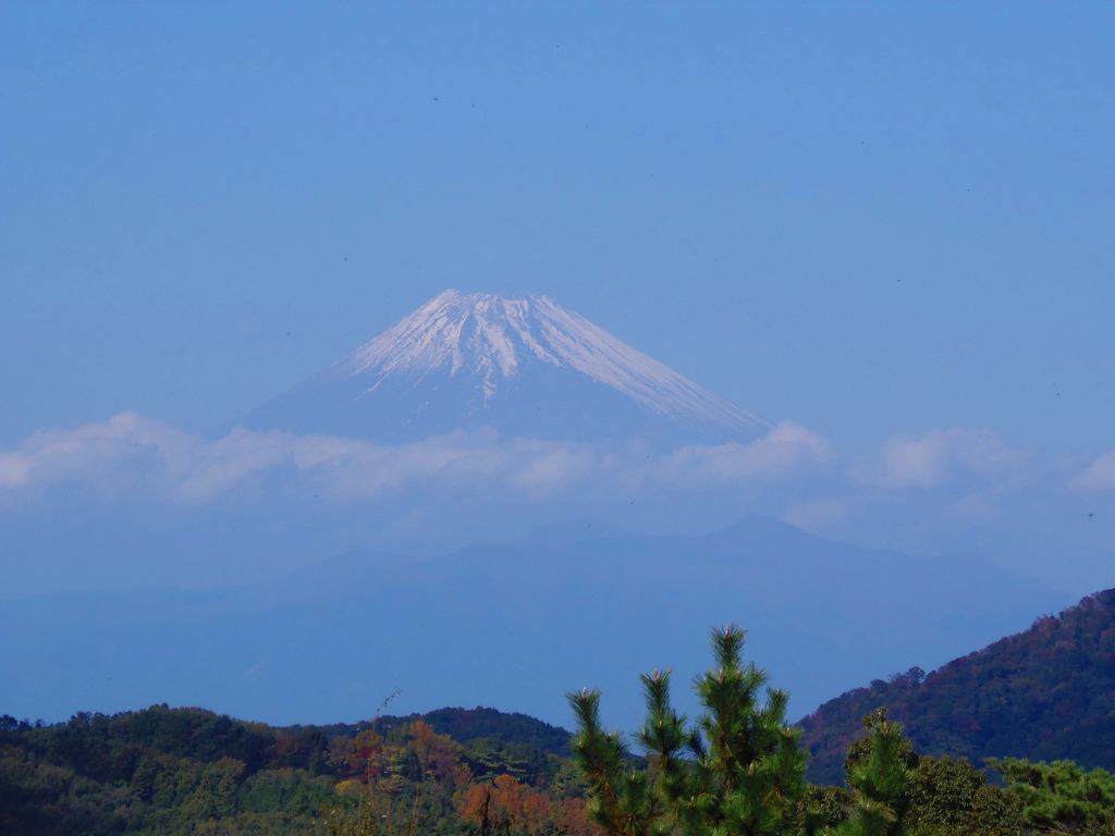 今日はここまでね