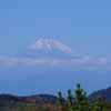 今日はここまでね