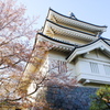 城とさくら