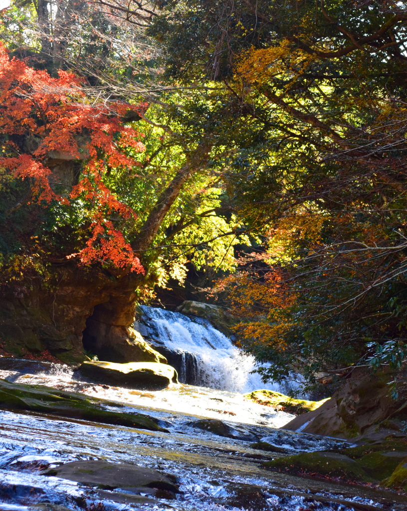 紅葉の流れ