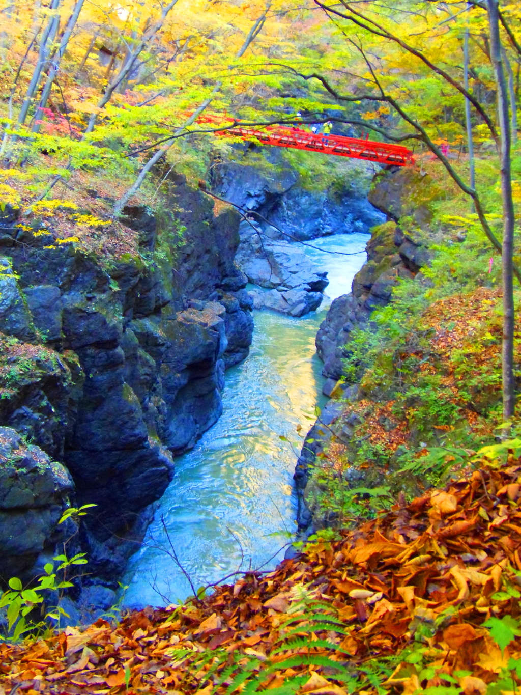 この秋の風景