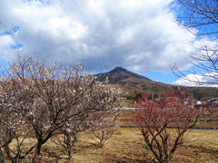 梅と筑波山