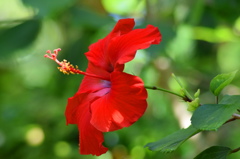 少し派手かしら？