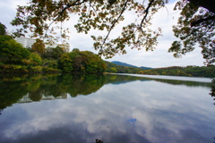 朝の一碧湖