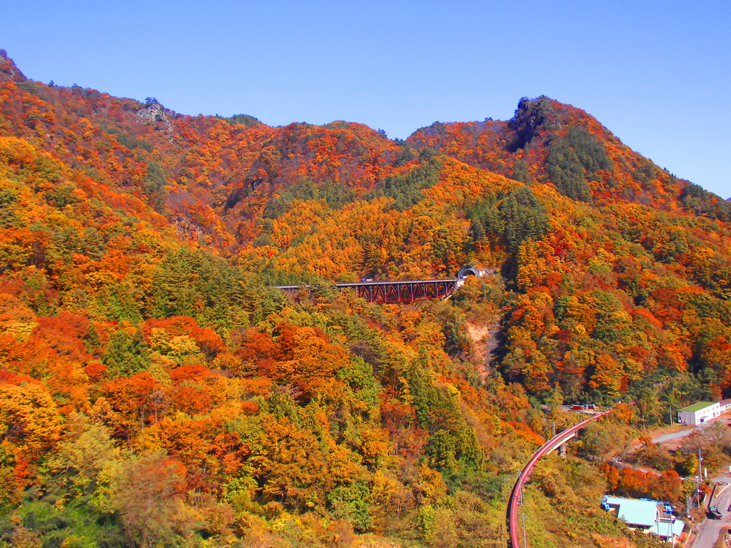 秋の１４５号国道