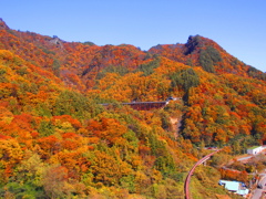 秋の１４５号国道