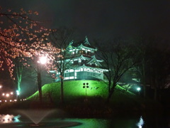 小雨にけむる高田城の