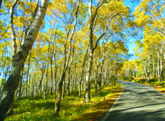 初秋の美ヶ原高原へ向かう道