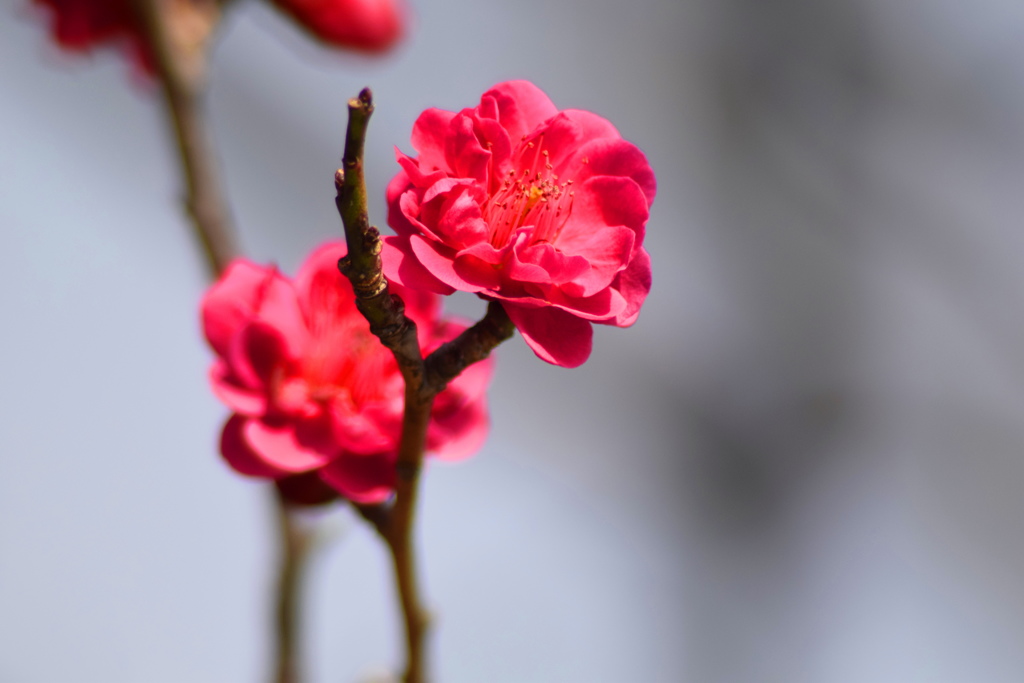 DSC_0159