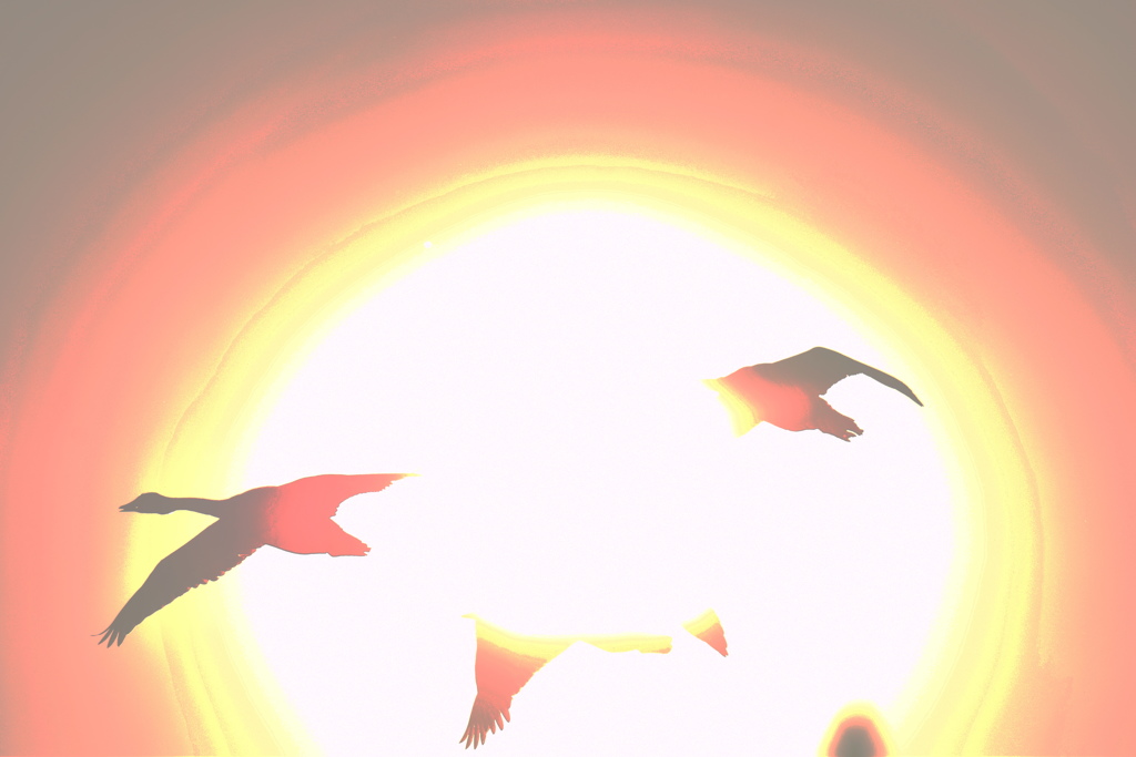 多々良沼の自然