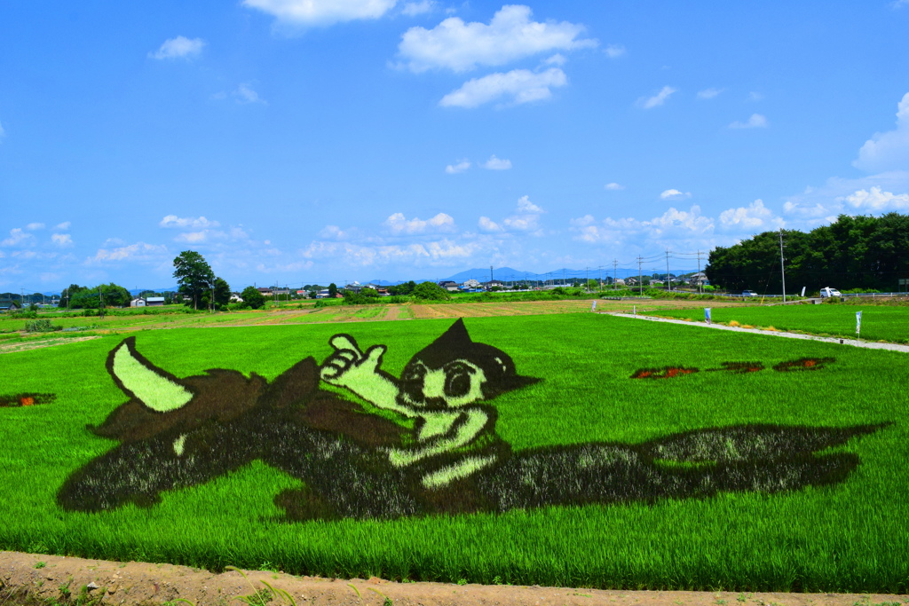 田んぼのアトム