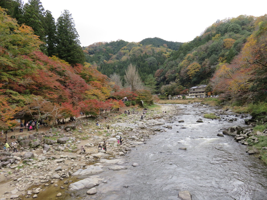 香嵐渓 紅葉