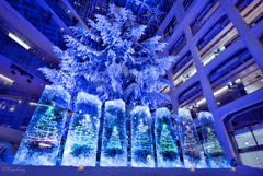 Christmas Trees