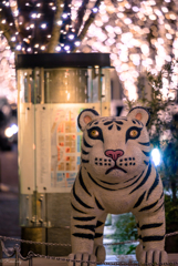 幻のホワイトタイガー