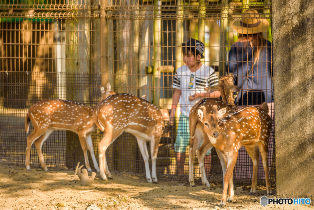 東武動物公園