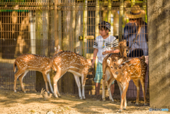 東武動物公園