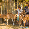 東武動物公園