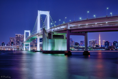 ODAIBA Night View